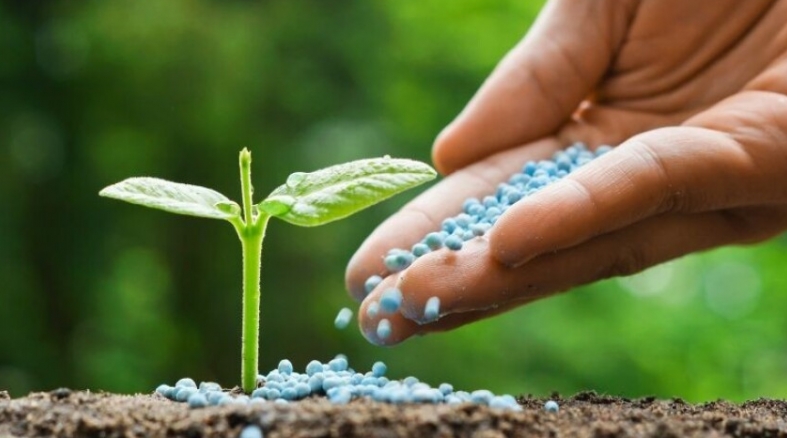 Do vento à umidade: os fatores que impactam a aplicação de fertilizantes