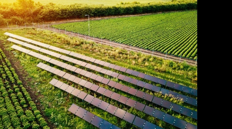 Energia solar no campo: um caminho sustentável e econômico para o agronegócio