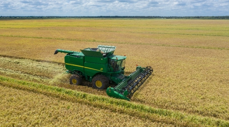 Tecnologia e clima favorecem safra recorde