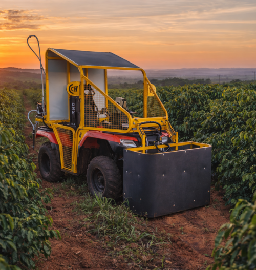 ChatGPT Image 20 de jan. de 2026, 22_34_06