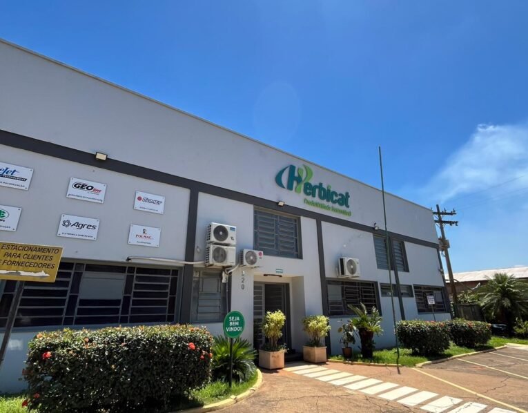2024-atual